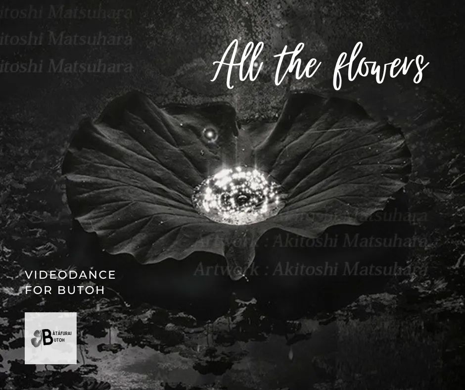 All the Flowers