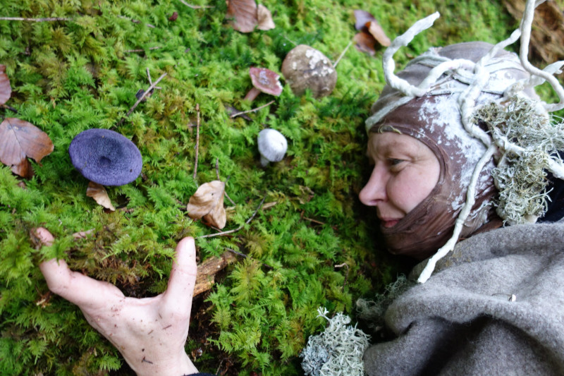 MYZEL, Post-Anthroposchizer Zirkus 2025